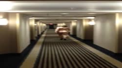 Hotel corridor walk